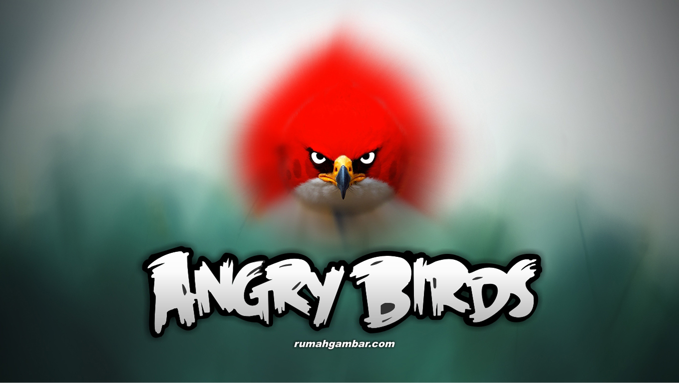 http://3.bp.blogspot.com/-FuGYw9klCKU/UU8_Z7YlcPI/AAAAAAAABbM/q5p7SWPGzAU/s1600/red-angry-bird-wallpaper.jpg