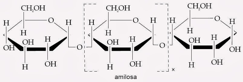 Pengertian Polisakarida, Struktur, Contoh, Kegunaan, Fungsi, Kimia