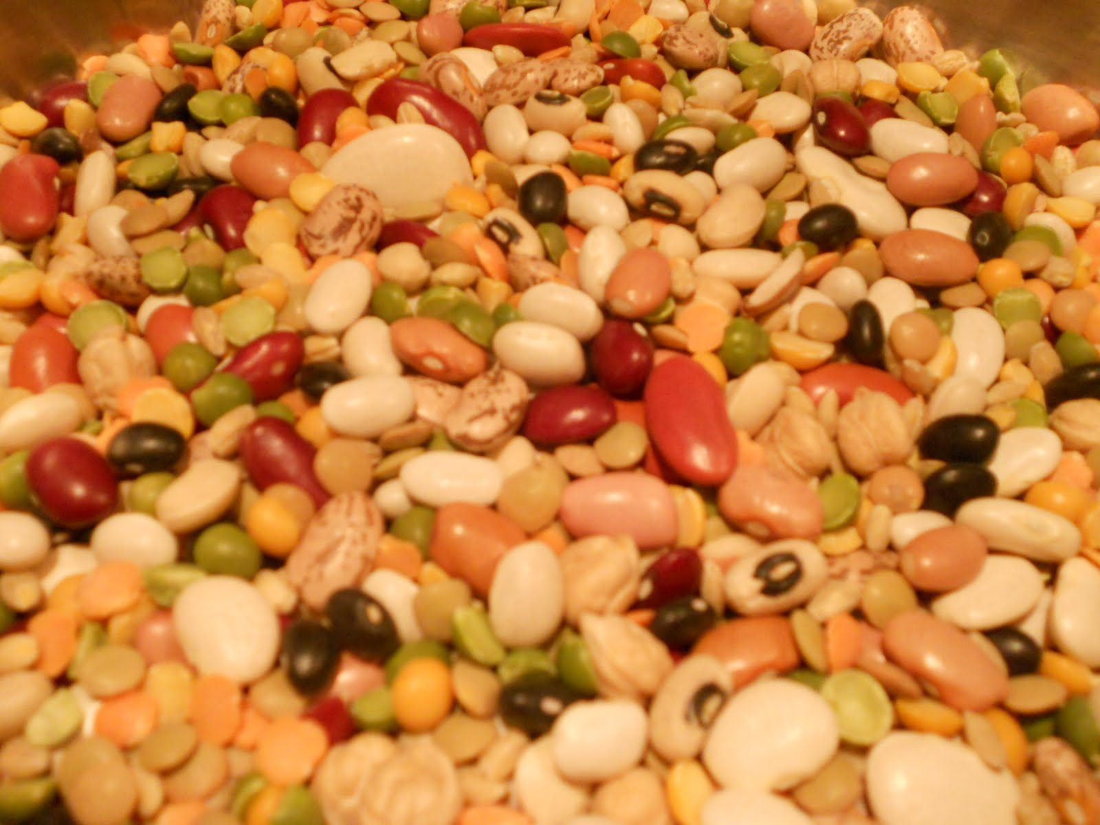 Czech Vegan (in America) 17 Bean and Barley Soup