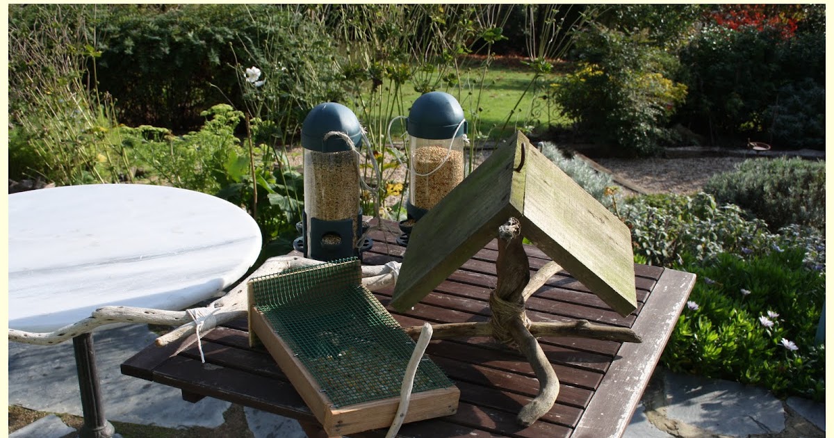 El Jardín de Margarita: Alimentar a los pájaros del jardín con