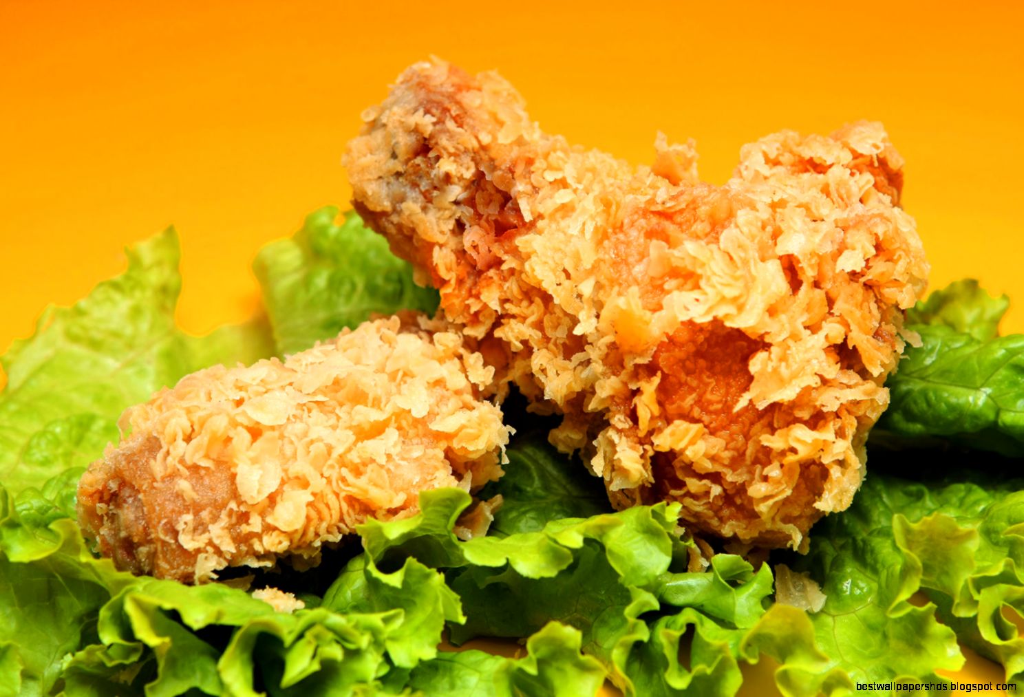 HD hamburgers and fried chicken picture 13935 Food Culture Food HD hamburgers and fried chicken picture 13935 Food Culture Food