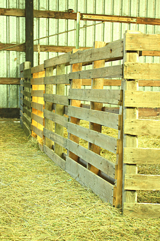 To Sing With Goats Redneck Fence