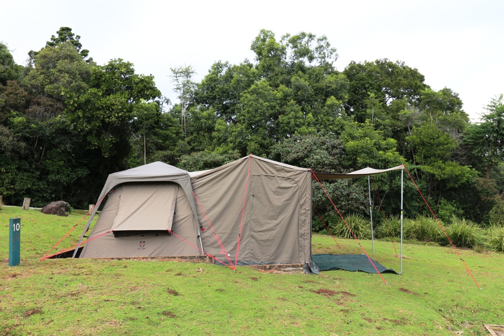 National Park Odyssey Lamington National Park Qld Camping And Accomadation Green Mountains O Reilly S Section Revisit