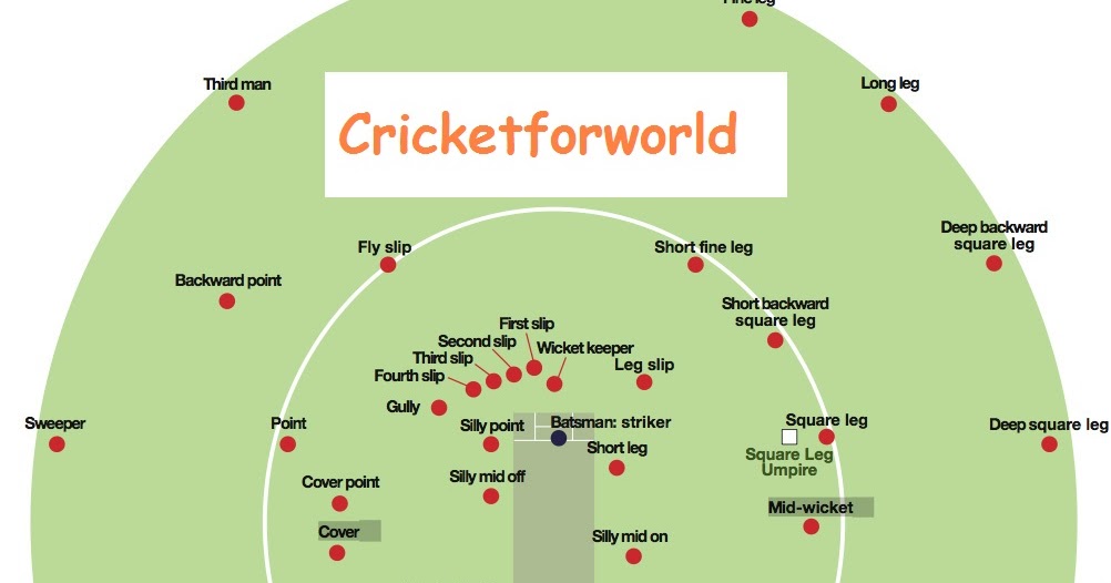 Cricket Fielding Positions