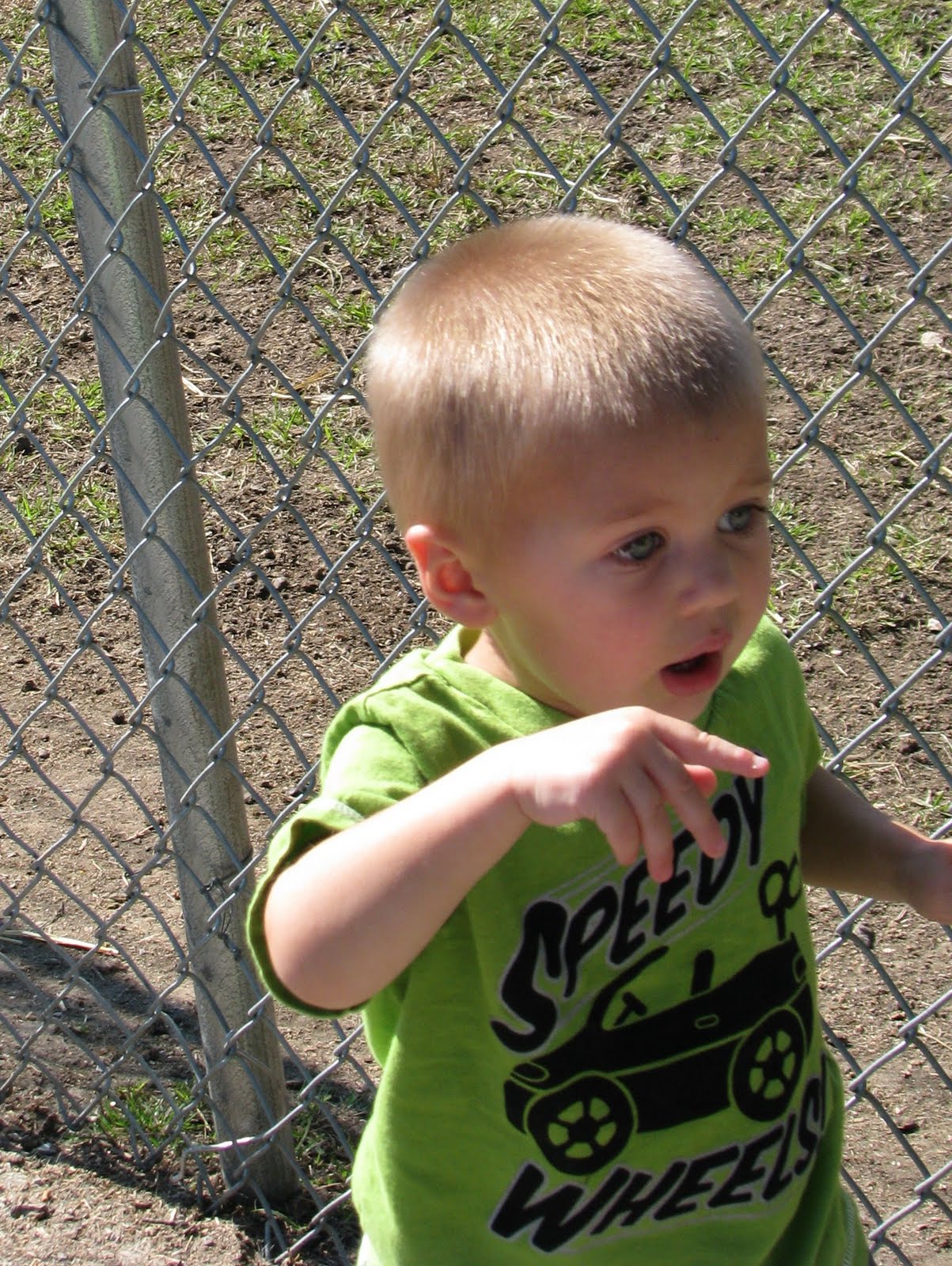 The Bowyers Gas City Petting Zoo