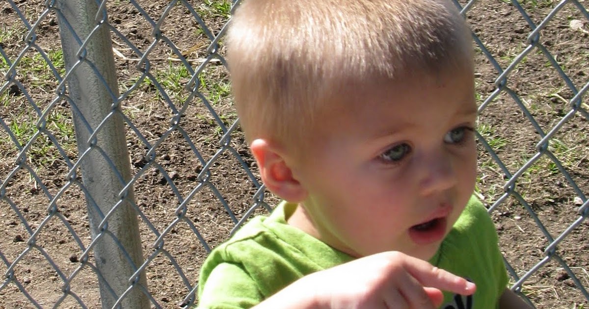 The Bowyers Gas City Petting Zoo