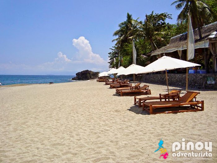 Laiya White Cove Beach Resort San Juan Batangas Rates Laiya White Cove Beach Resort San Juan Batangas Rates