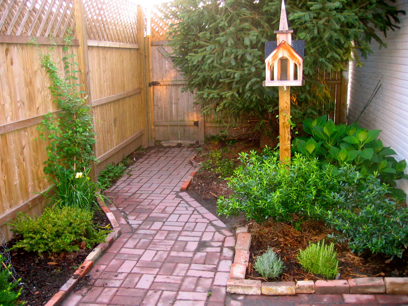 Mel & Liza Backyard Redo