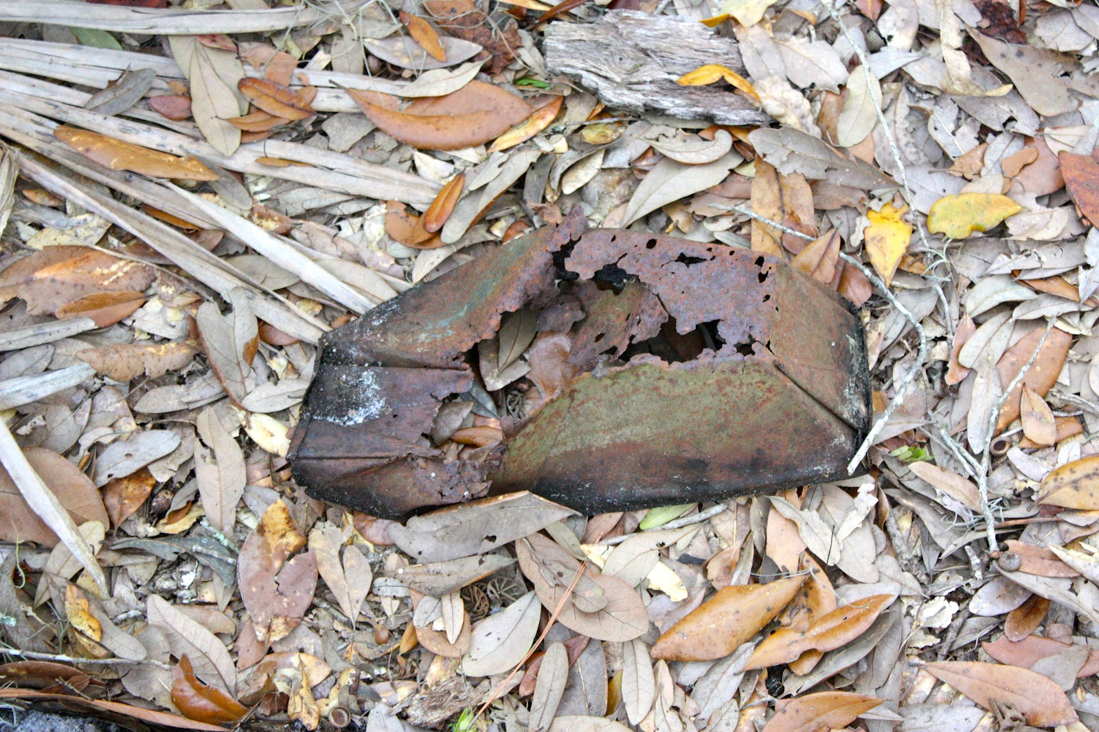 Hammock Track Tales Sheds and Lighter Knot Hunting