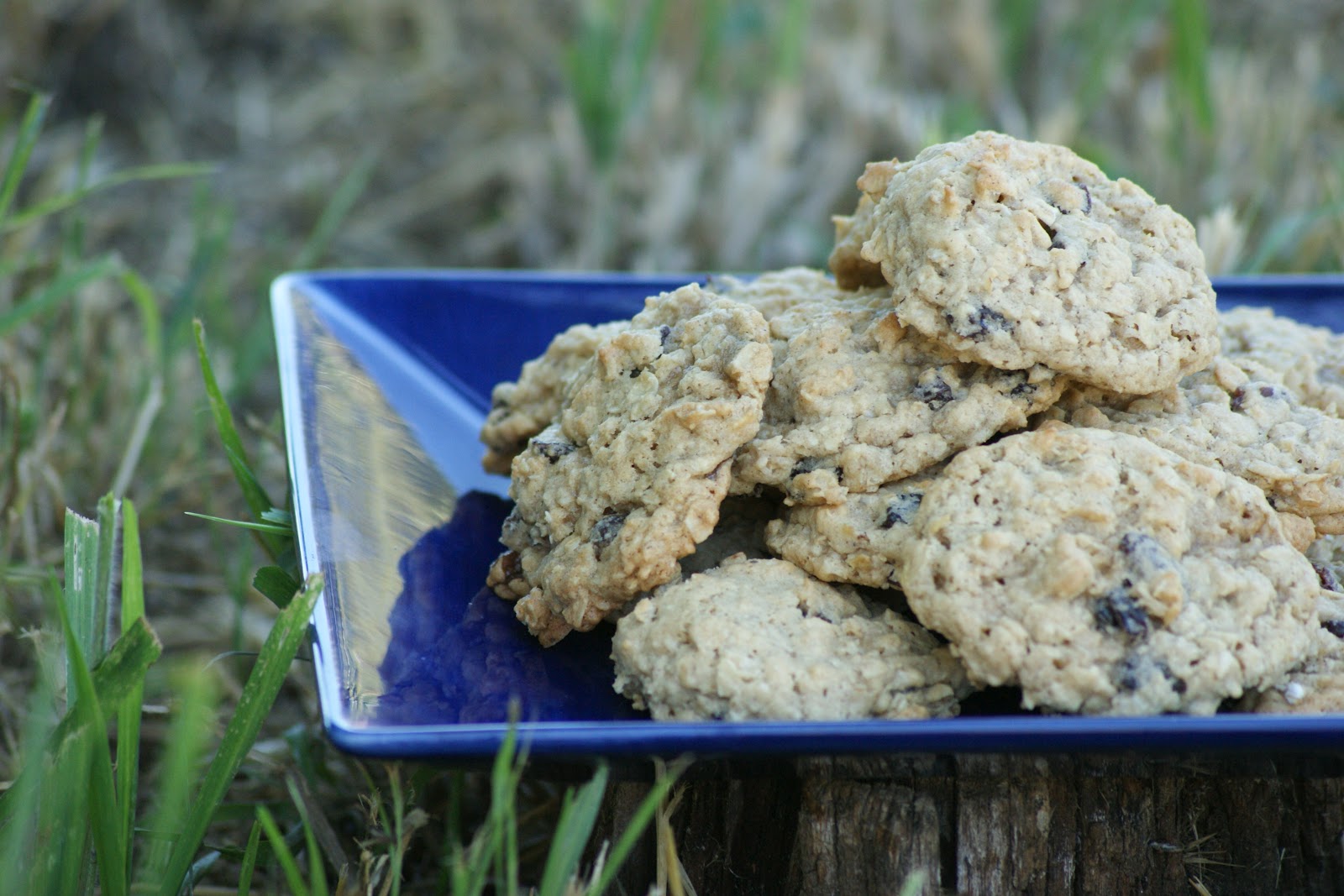 Britt's Food Swaps Oatmeal Raisin Cookie Dough Bites