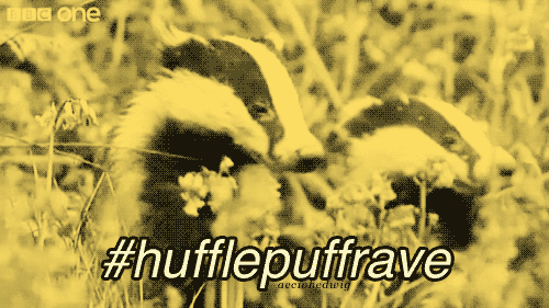 hufflepuff+rave.gif