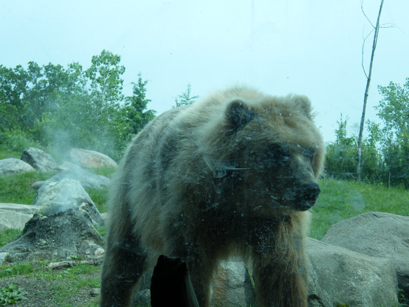 Minnesota Zoo and IMAX Theatre, Apple Valley Family Fun Twin Cities