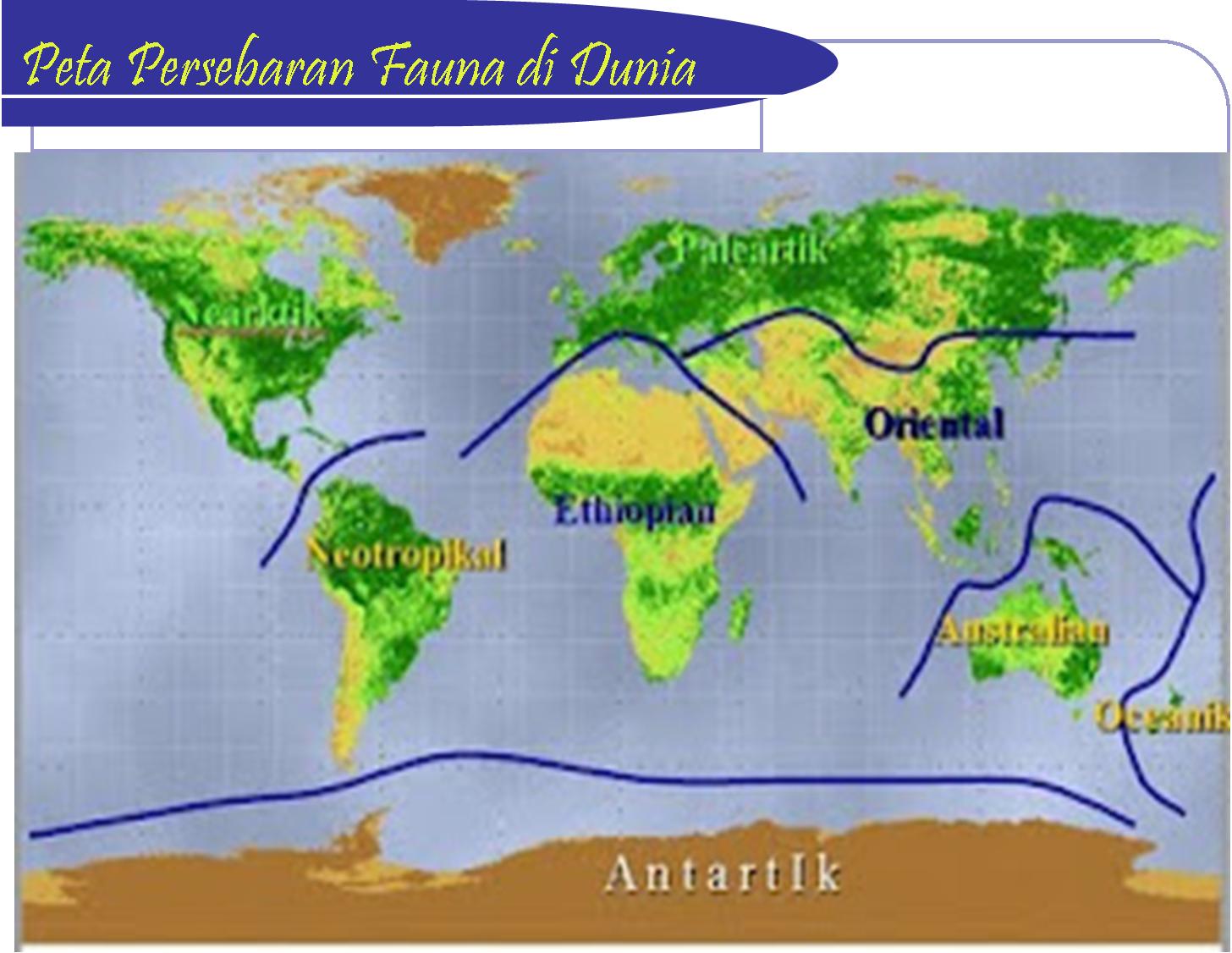52 Gambar Peta Persebaran Fauna Oriental Paling Hist 52 Gambar Peta Persebaran Fauna Oriental Paling Hist
