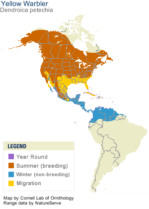 yellow rumped warbler range map yellow rumped warbler range map