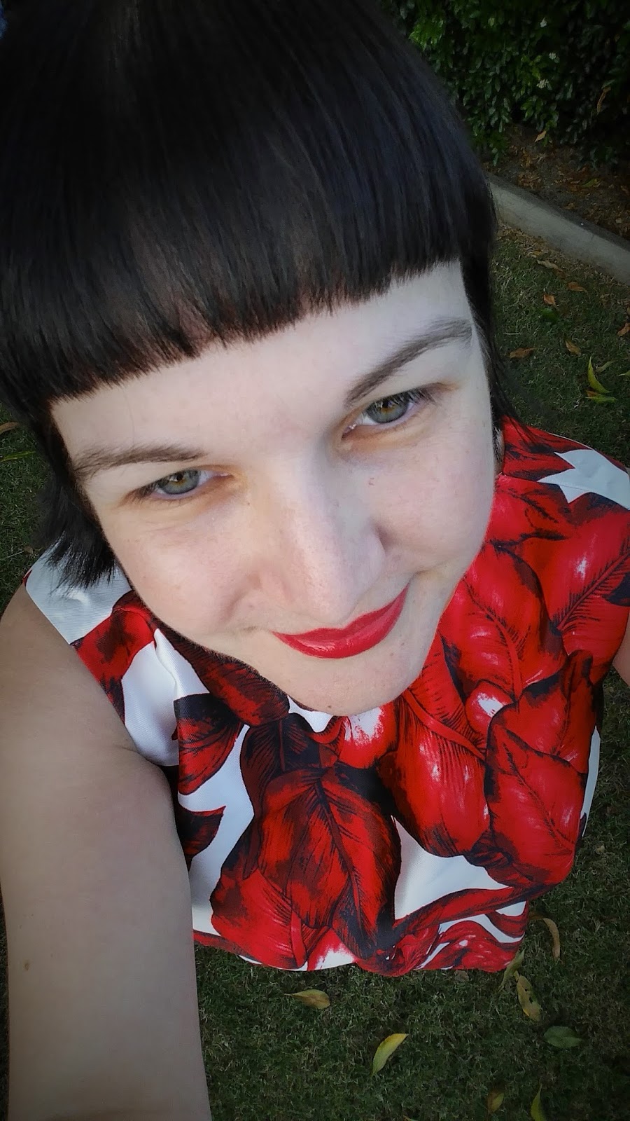 Franny Gets Frocked January 2016