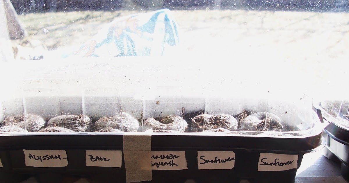 pressed petals LT “Bulbs. Dig, Drop, Done.” Presents Curbside Chaos!