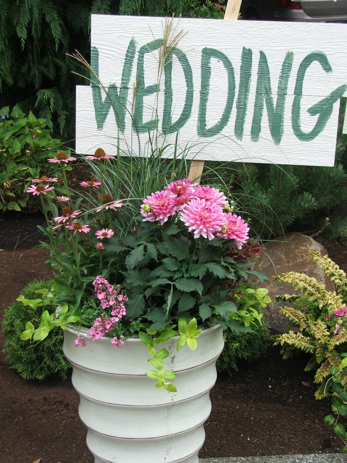 Plant Profiles Hydrangeas Especially H Paniculata