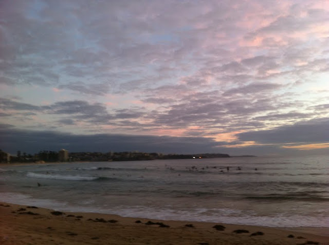 bold and beautiful sydney swim ocean