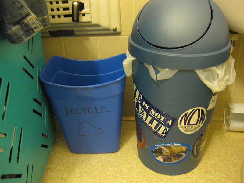 The Green Goddess Super Friday Shopping The Dollar Tree