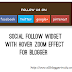 Social Follow Widget with Hover Zoom Effect for Blogger