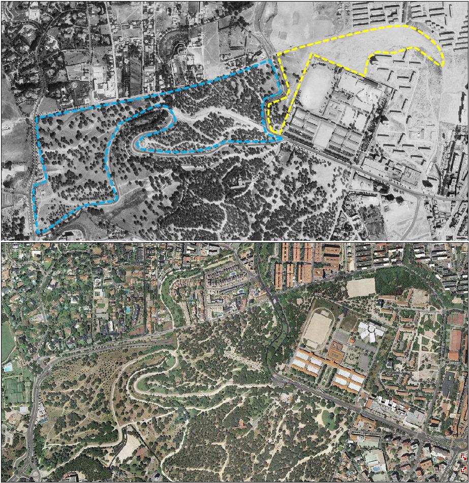 Dehesa de la Villa Naturaleza viva La transformación parcial de la Dehesa de la Villa en parque