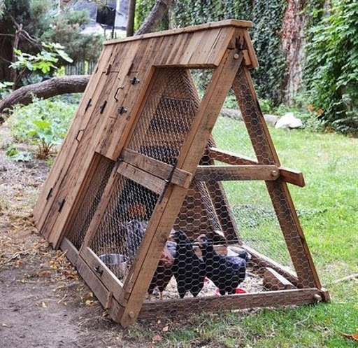 contoh gambar model rumah kandang ayam desain unik minimalis modern dari kayu terbaru 2015/2016 contoh gambar model rumah kandang ayam desain unik minimalis modern dari kayu terbaru 2015/2016