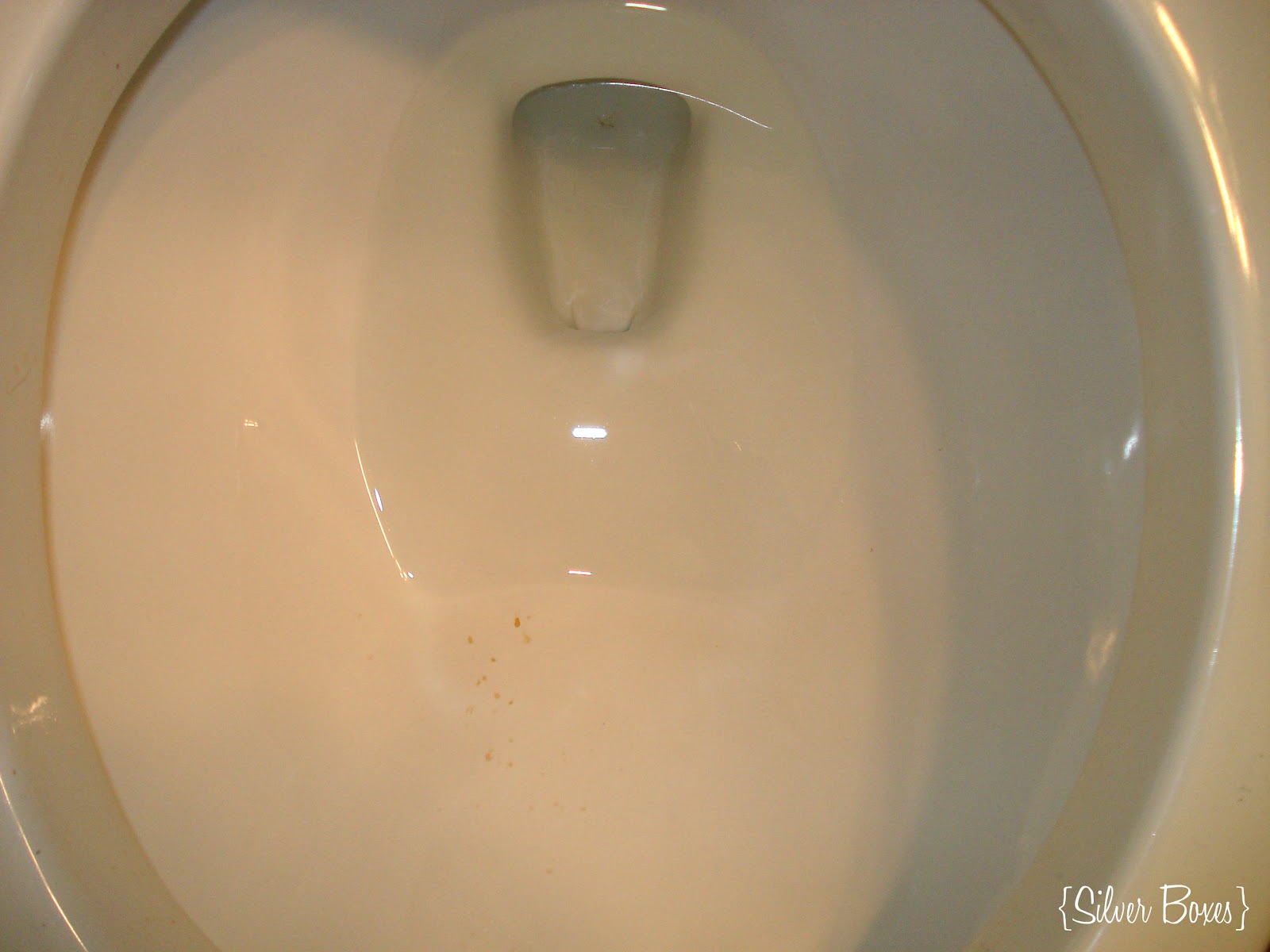 Silver Boxes The Dish Soap Challenge. Week Two The Toilet