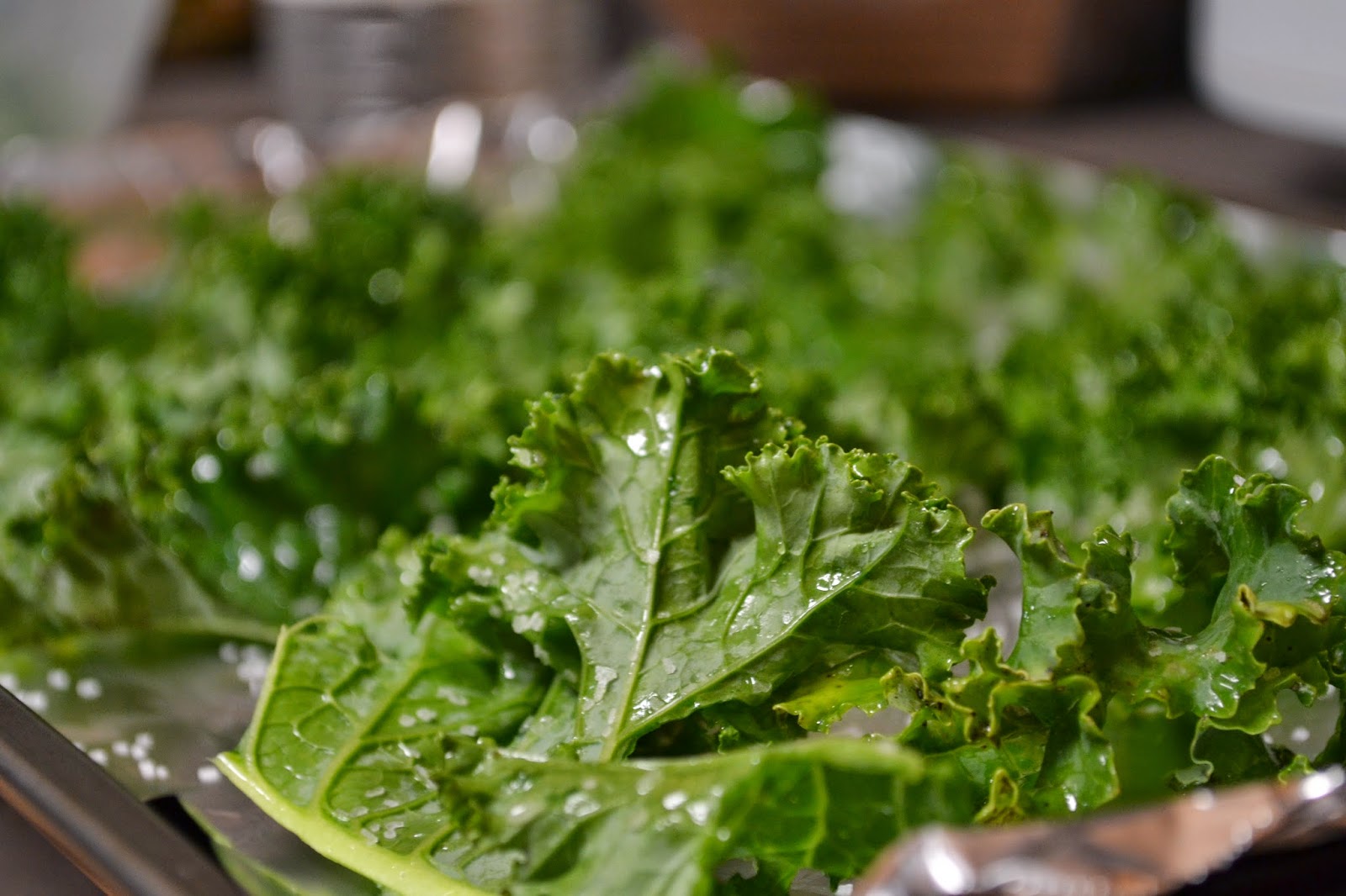 Salt and Vinegar Kale Chips Feed the Fashionista