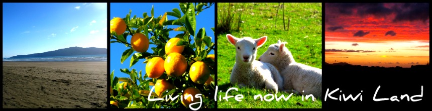 Living Life Now in Kiwi Land
