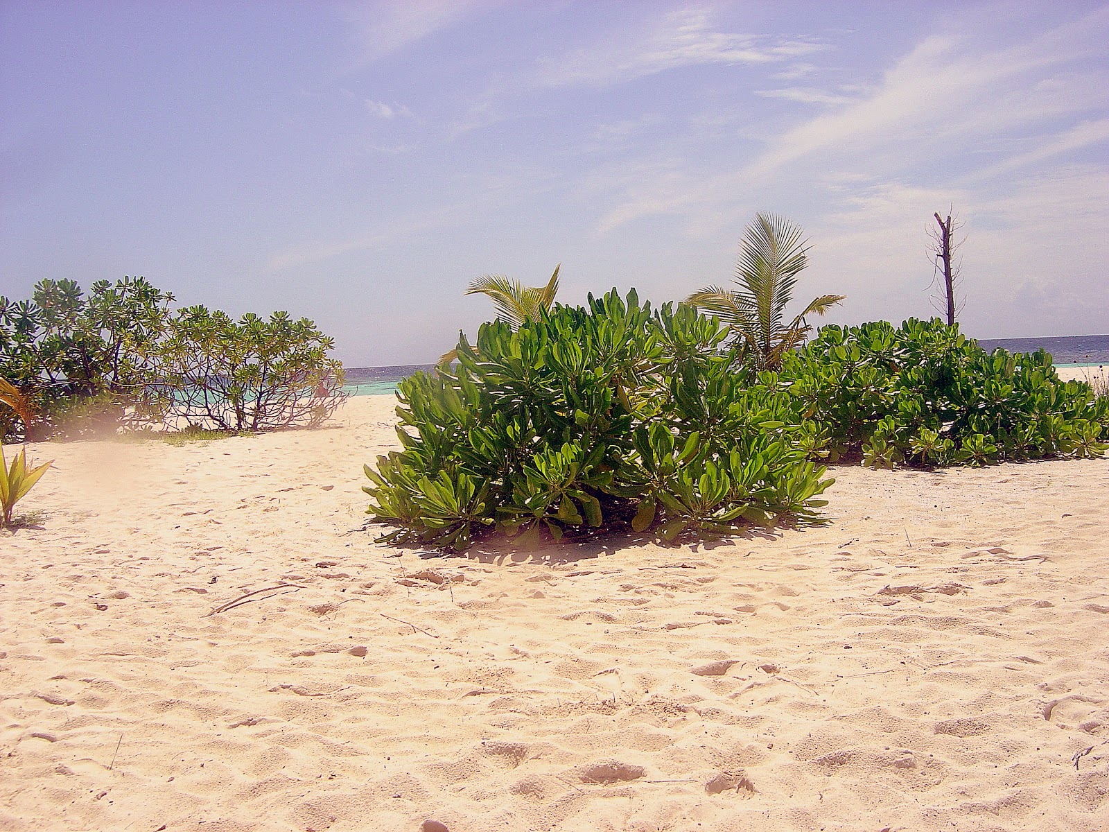 El mar arriba y abajo (1) Ortiz de Retes
