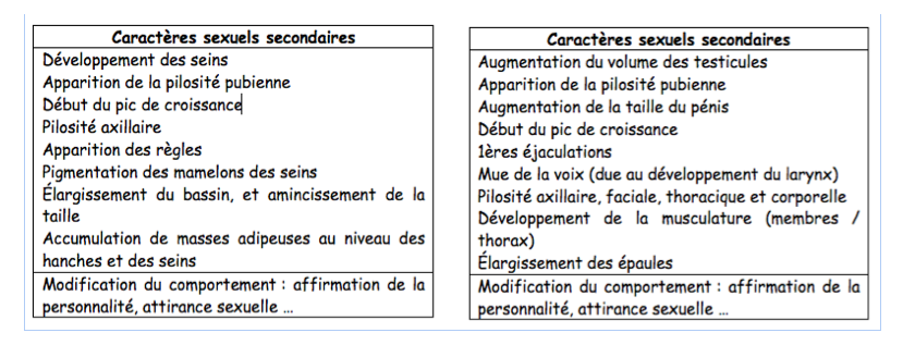 svt rencontre des gamètes et début de grossesse