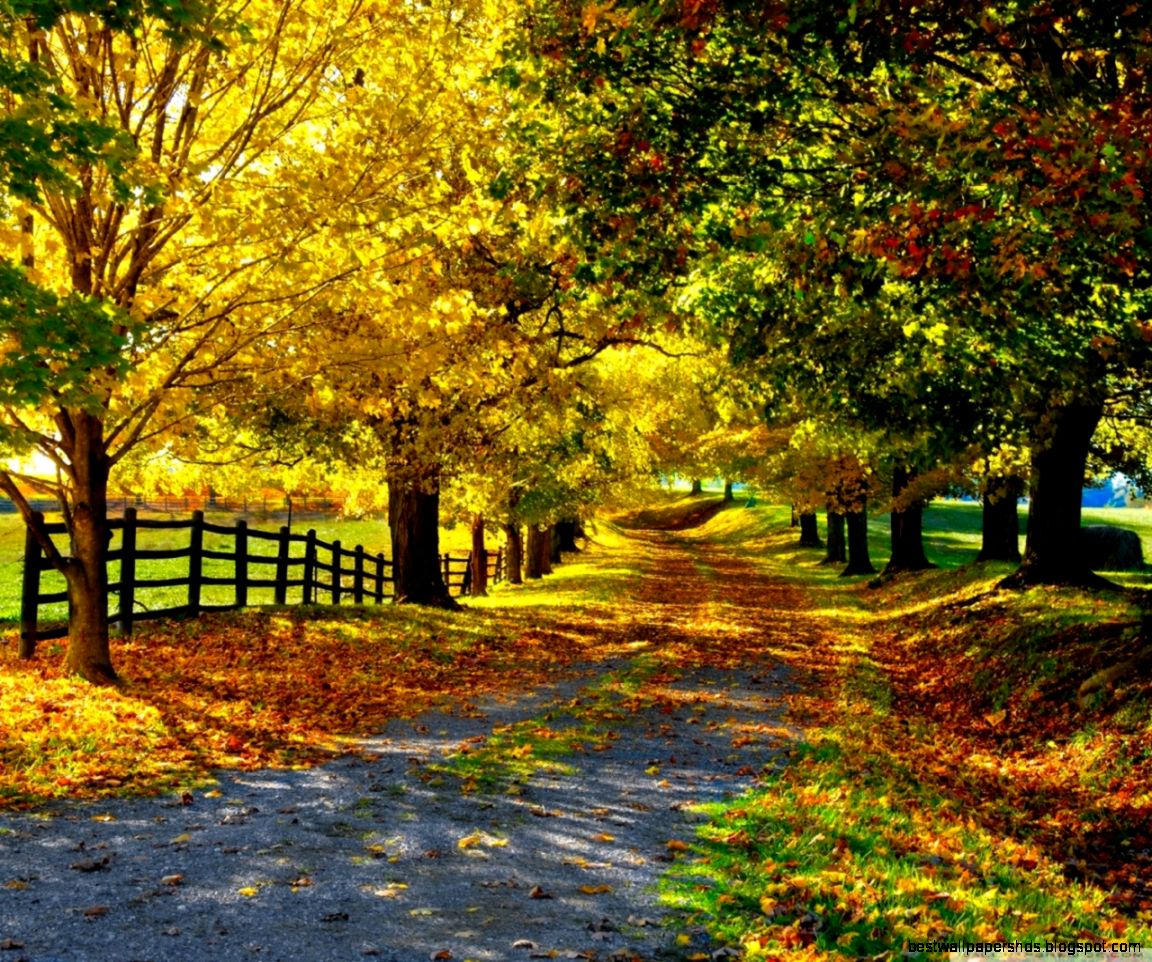 The Most Beautiful Autumn HD desktop wallpaper High Definition The Most Beautiful Autumn HD desktop wallpaper High Definition