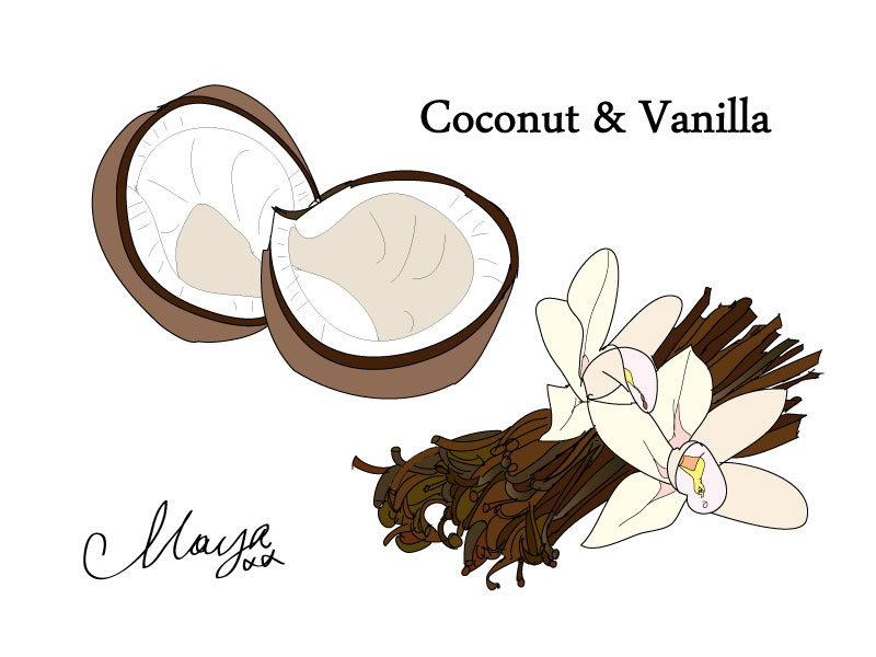 Dinner at Maya's Vanilla and Coconut Pork