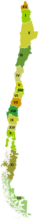 21+ Actualizado Mapa De Chile Con Sus Regiones PNG