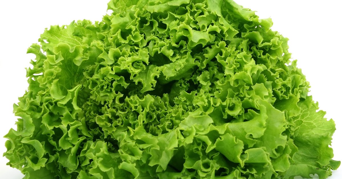 My Amazing Pen How do you pronounce LETTUCE?