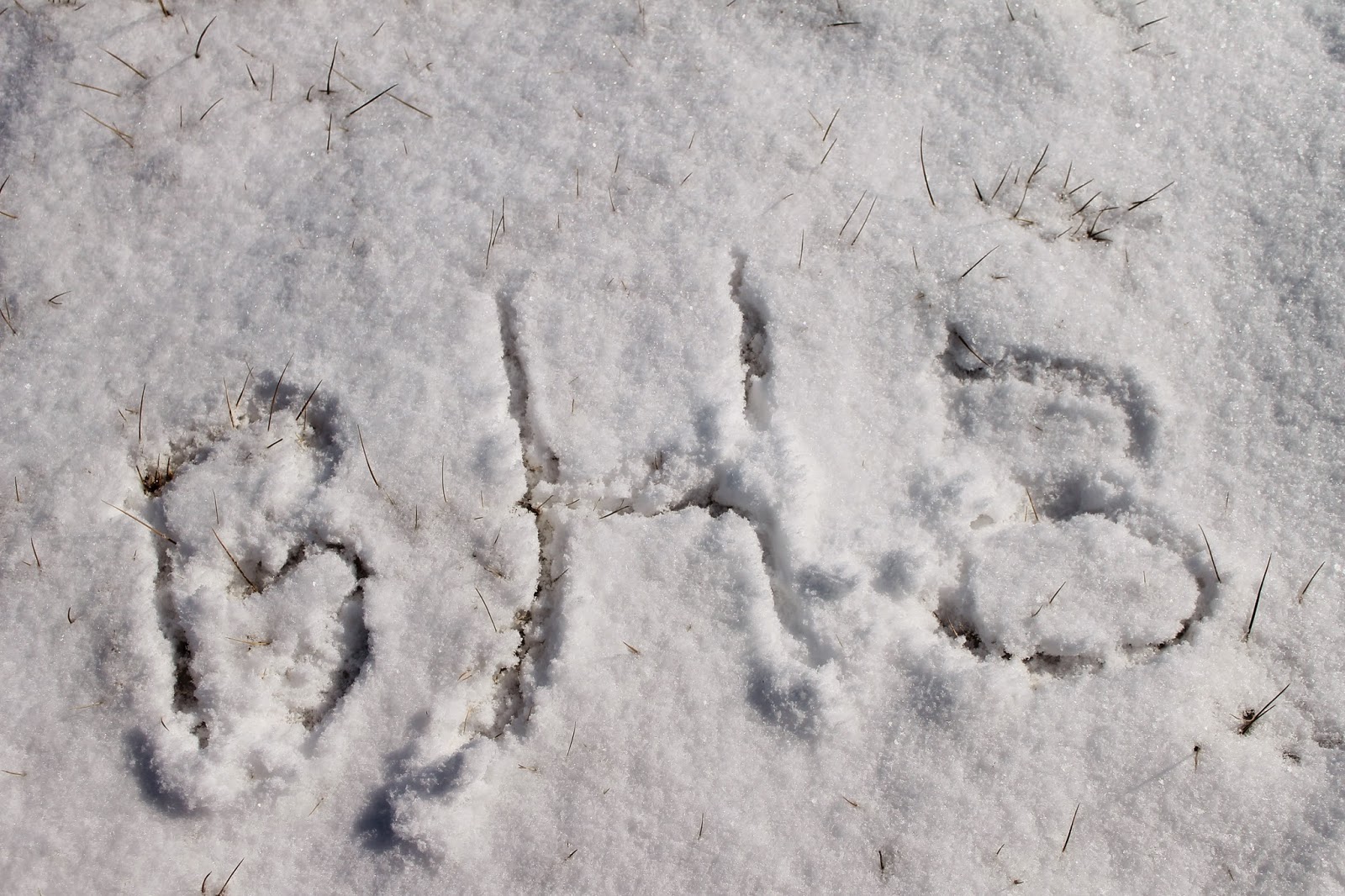 monogram in the snow preppy winter