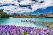 Visit New Zealand for 11 nights/12 days at Rs. 99