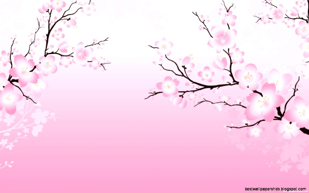 Cherry Blossom Japanese Flowers Cherry Blossom Japanese Flowers