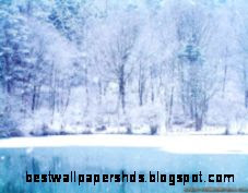 River Winter Forest Wallpaper 1024x768 px Free Download River Winter Forest Wallpaper 1024x768 px Free Download