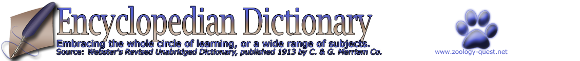 Encyclopedian Dictionary ( Red Velvet ) Dasymutilla occidentalis