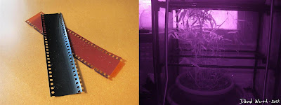 Infrared camera film test
