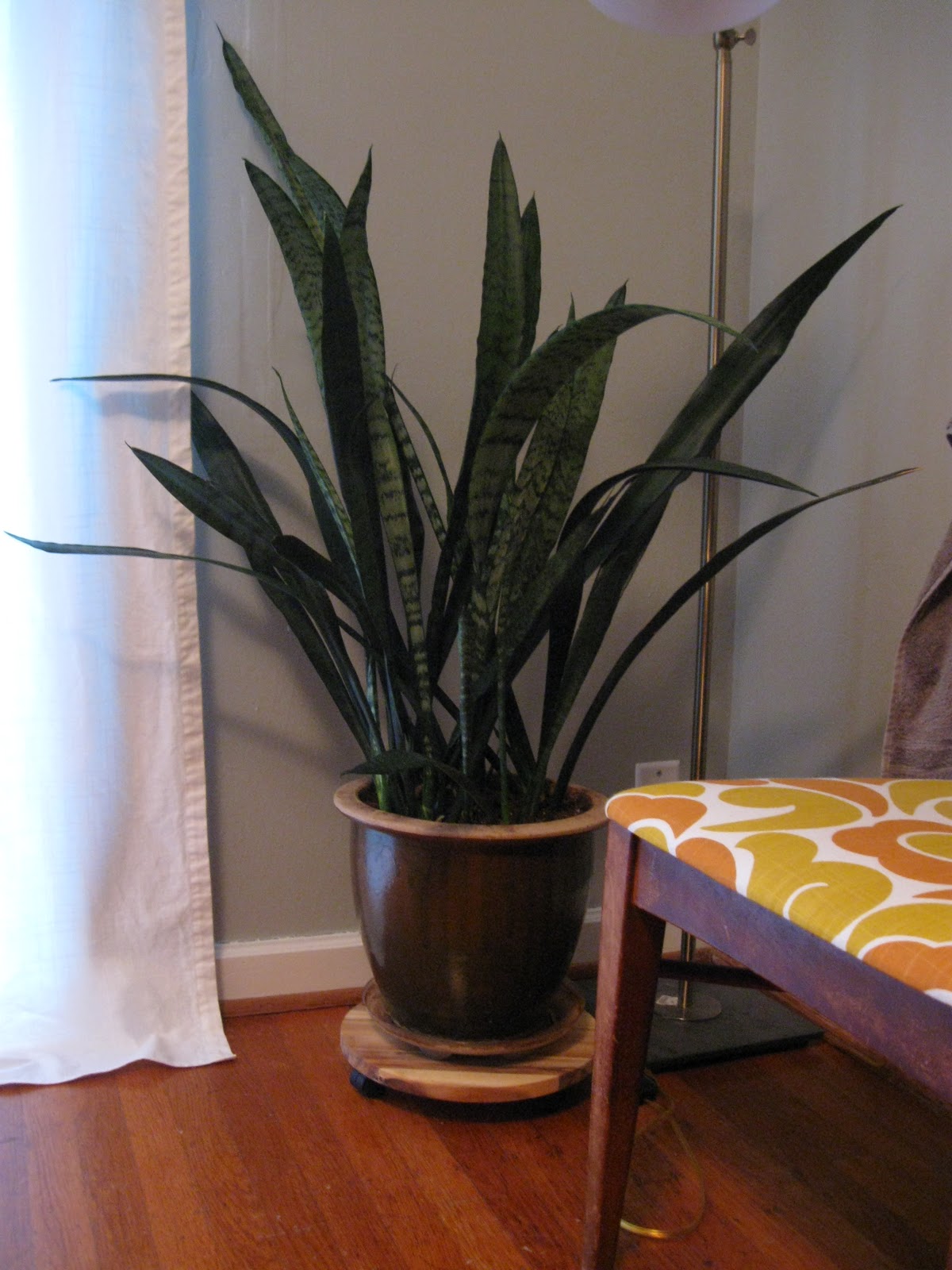 Just a girl with a hammer Air quality