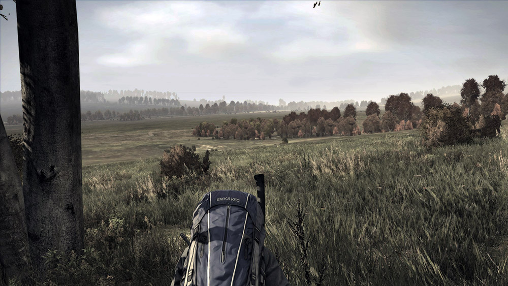 DayZ' standalone alpha hits December, developer not worried about