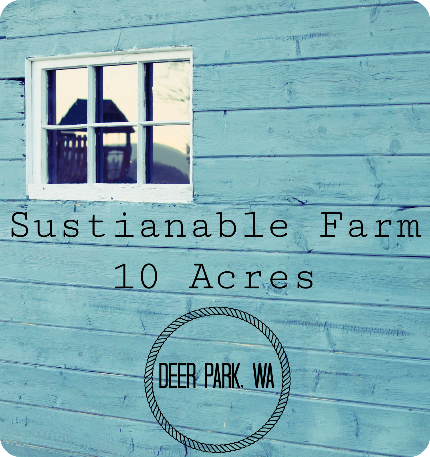 Big Blue Barn Processing Day At The Big Blue Barn