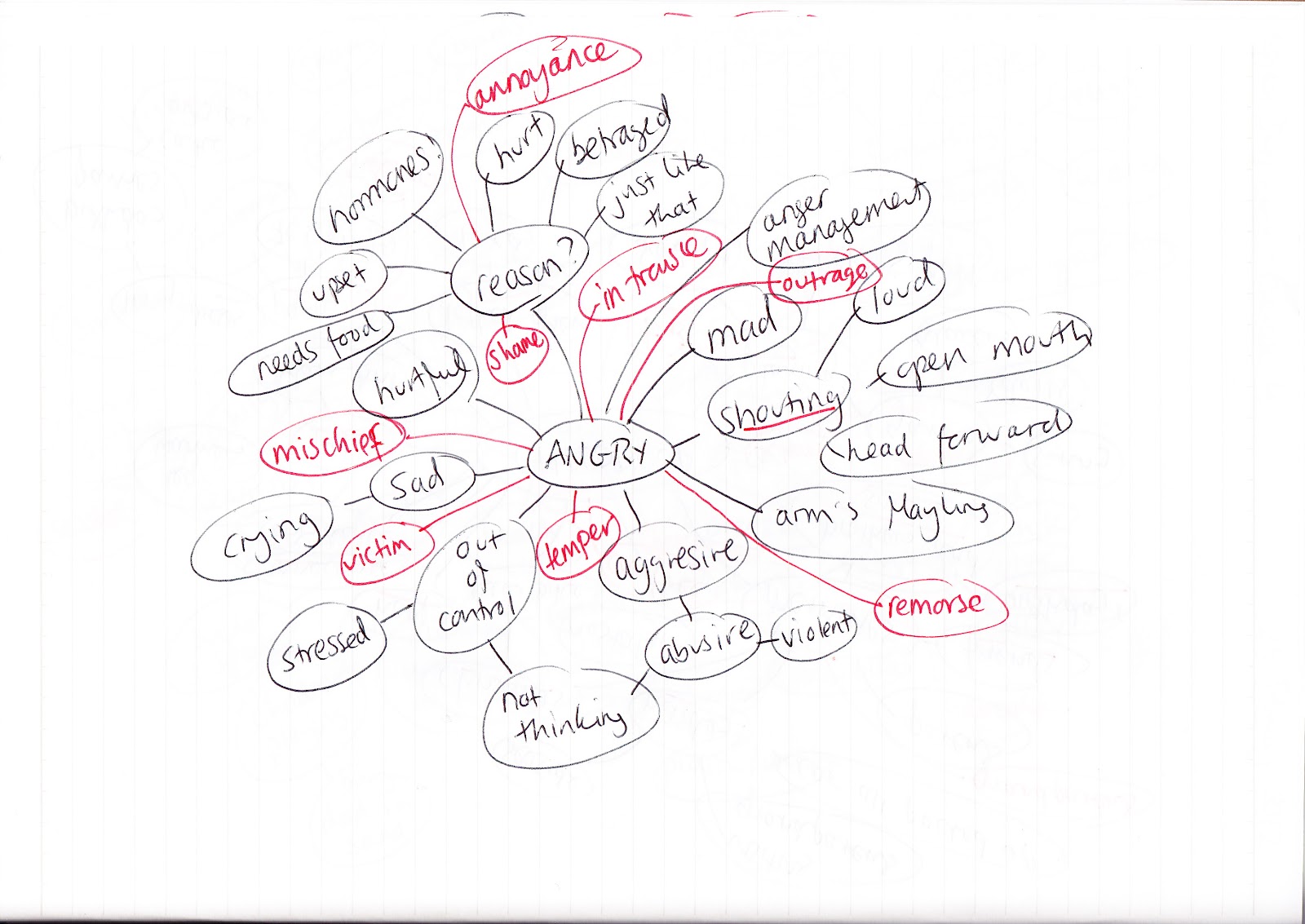 spider diagram