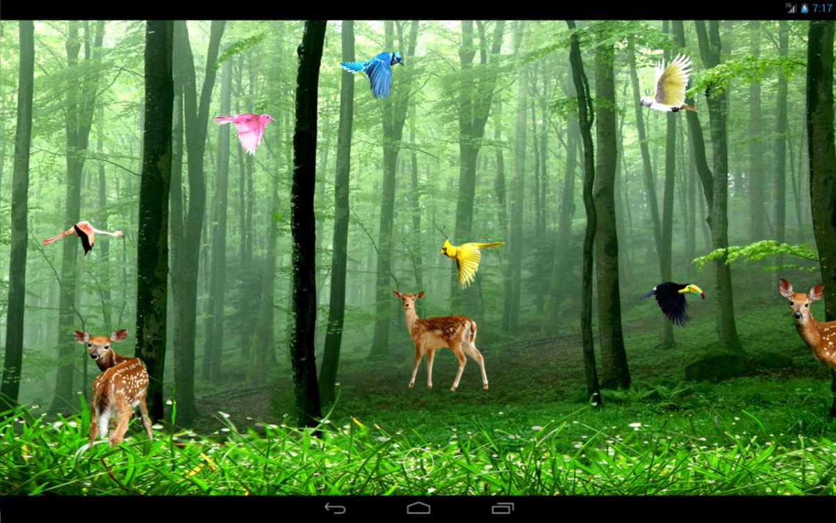 Rain Forest Live Wallpaper Android Apps on Google Play Rain Forest Live Wallpaper Android Apps on Google Play