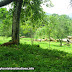 Pinnawala New Zoological Garden