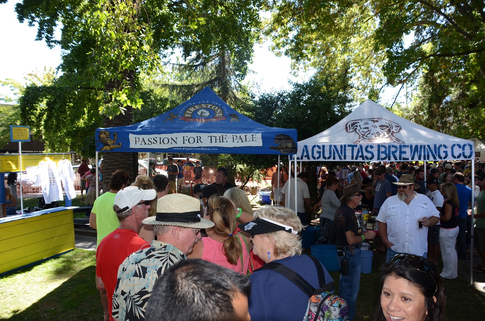 Beer in Shady Healdsburg Plaza