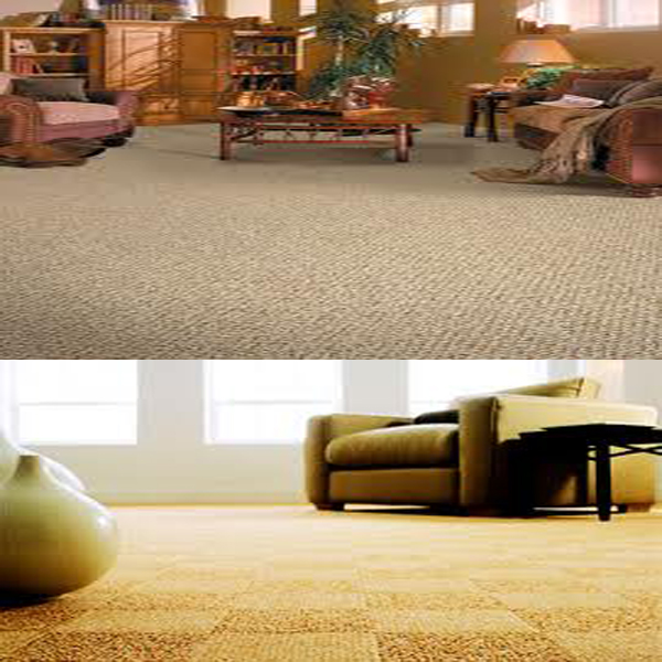variety subjects HOW TO CHANGE THE CARPET