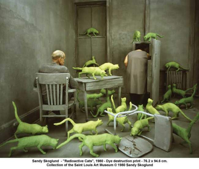 The Cat Ladies Radioactive Cats Sandy Skoglund